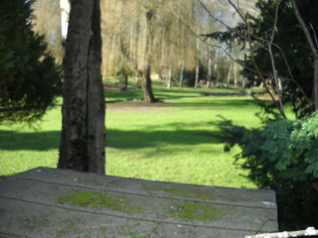 Hotel Auberge La Pomme De Pin Senonches Esterno foto